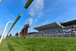 270526-Race 6-Sisterandbrother-9083