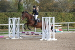 Unaffiliated Show Jumping portfolio
