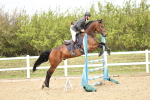 SBM_000978