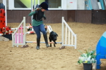 SBM_002378