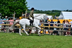 SBM_07908