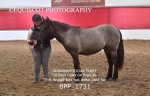 BPP_1731