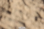 250629-174922-13768