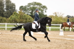 SBM_002853