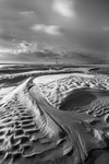 IMG_6778 bw v2