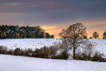 z1741 Evening Snowfields Near Havenstreet