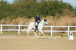 SBM_000817