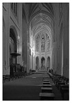 Notre Dame Paris
