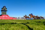 Race 1 portfolio
