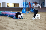 SBM_005906