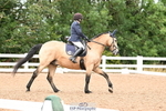 168-Dorothy.Godfrey-spinway.goldust portfolio