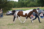 WJ6_5619