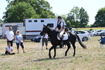 WJ6_8911