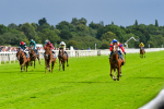 150723-Race 6-Robert Johnson-8812