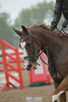 Cls 5 Foxhunter and 1.20m Open portfolio