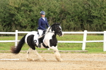 SBM_001483