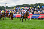 210826-Race 1-Blue Courvoisier-4956