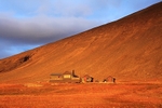 Golden Light 0109
