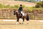 SBM_000489