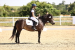 SBM_003533
