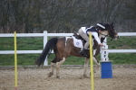 SBM_003946