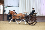 SBM_000036