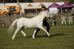 SBM_10379