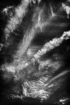Home Skies portfolio