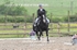 BPP_0027 1