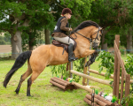 Dunblane show-462