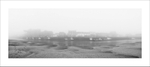 Sea Mist Wells Quayside