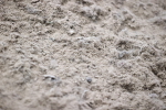 SBM_003131