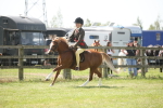 SBM_07708