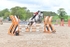 BPP_0065