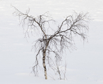 Northern Sweden
