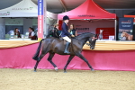 SBM_00733