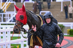 141125-Race 4-Matata-0182