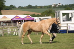 SBM_09239