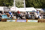 SBM_16560