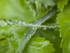 20140529_0091