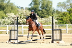 SBM_007009