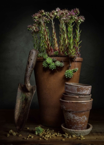 The Vintage Trowel