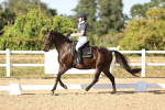 SBM_007661