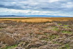 Grange-over-Sands 02