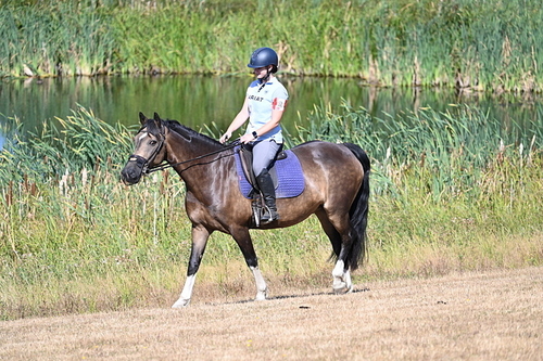 WJ7_7469
