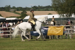 SBM_09545