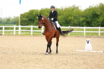SBM_006550