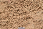 231028A-115926-00964
