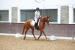 SBM_011391