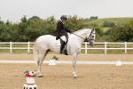 SBM_009296